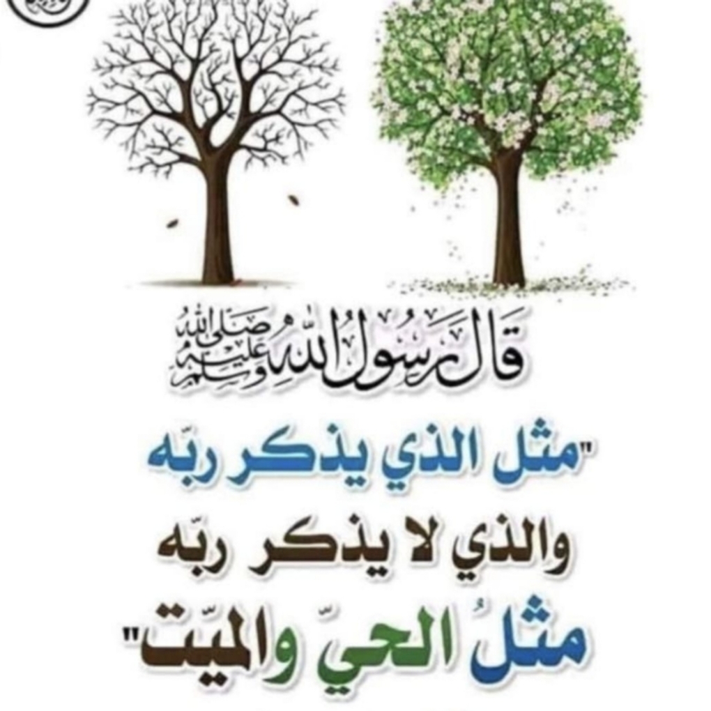 أبو فايز